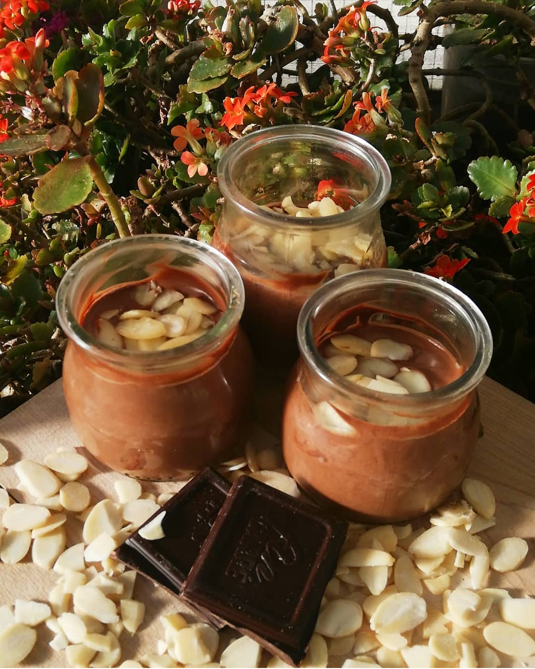 Mousse de chocolate saludable